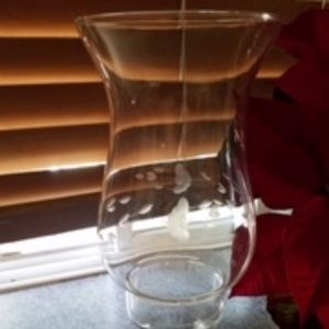 Princess House Hurricane Laps